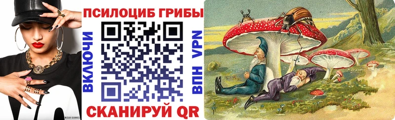 Купить  Чухлома  Галлюциногенные грибы мухоморы